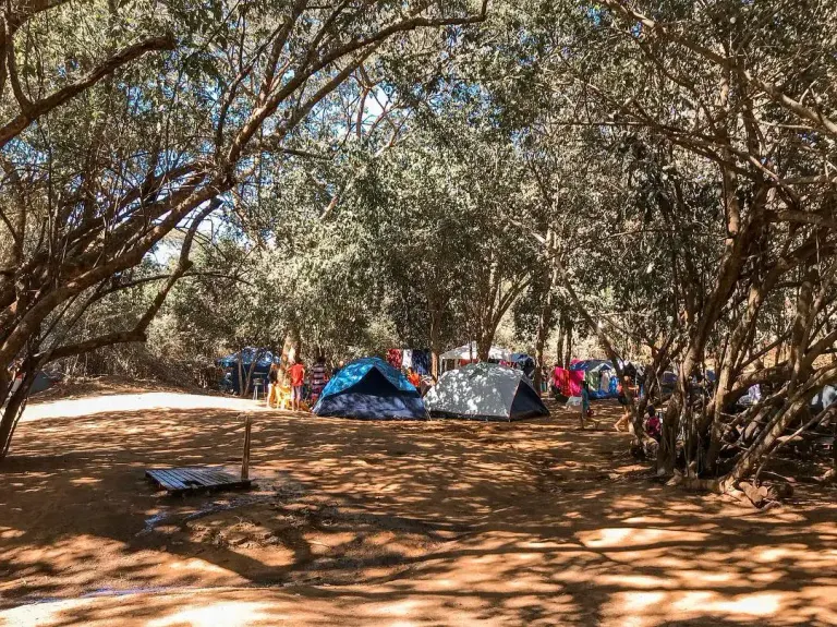 barracas de camping à sombra das árvores na Praia da Arara