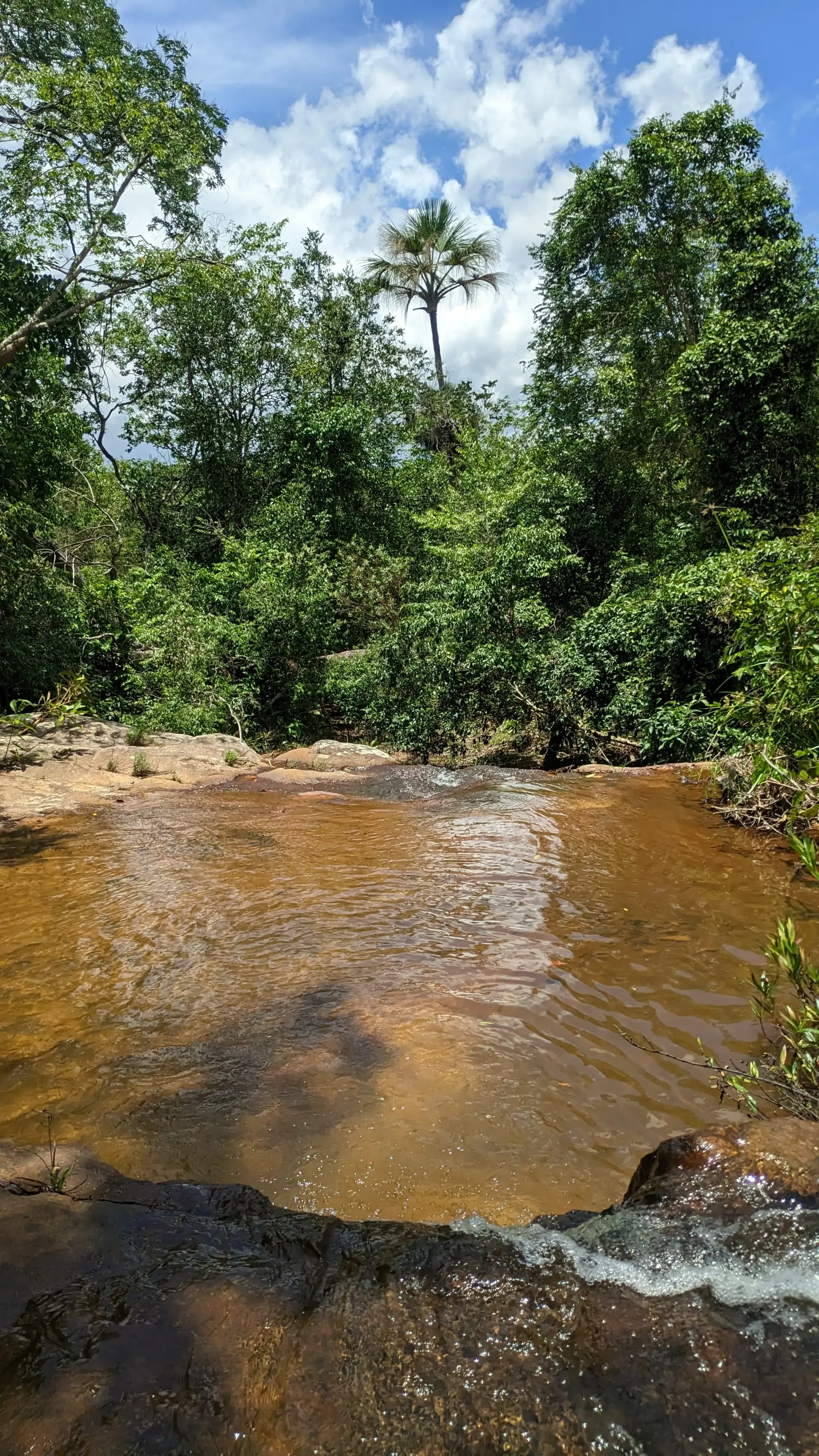 Cachoeira com pequena queda d'água e grande volume formando uma piscina natural cercada por vegetação de Cerrado